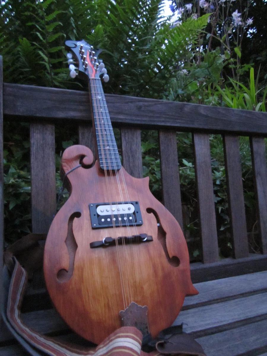 2013 - Home-made Electric Mandolin