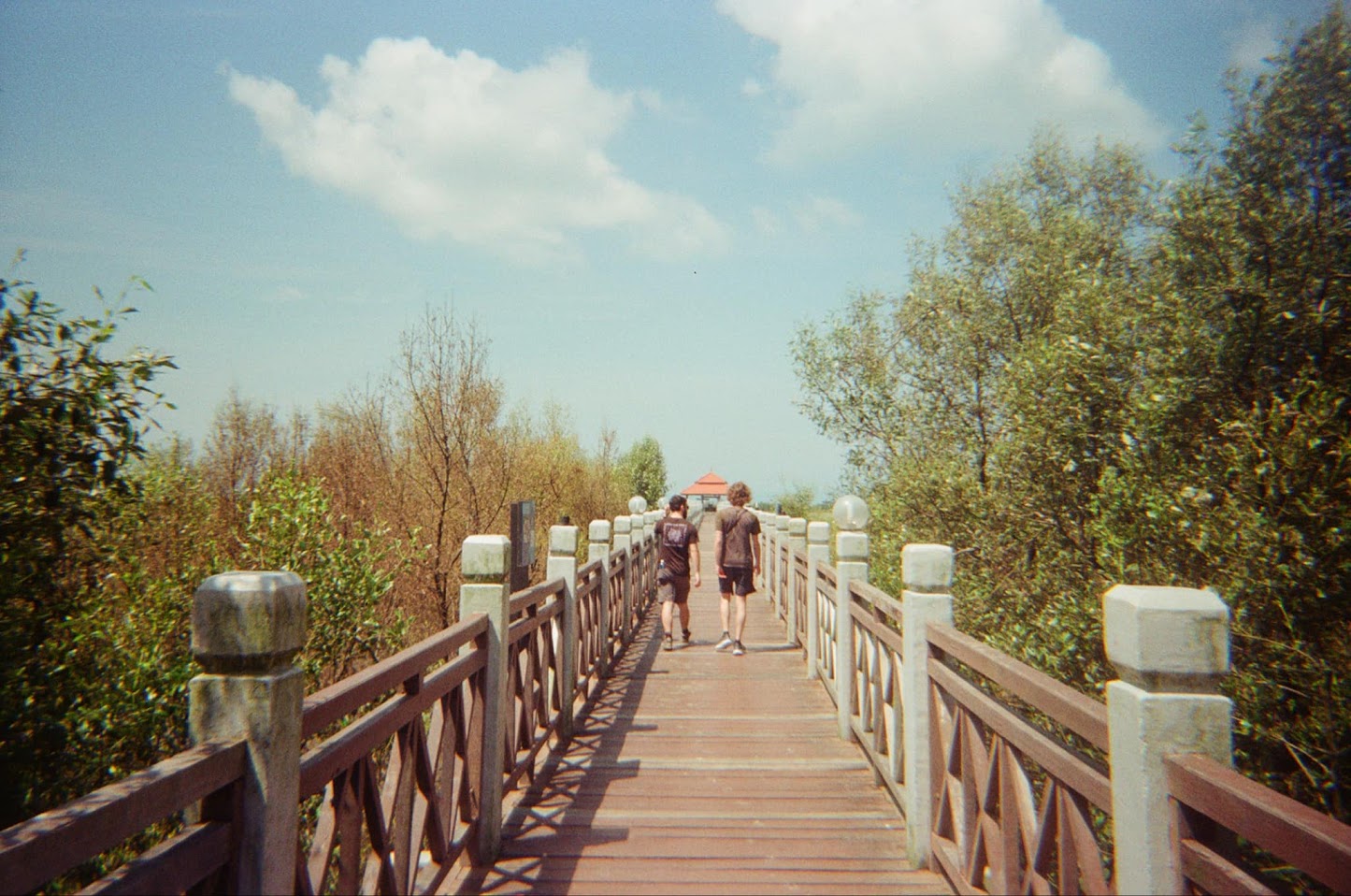 Tangjung Piai National Park